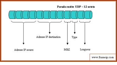 Pseudo en-tête udp 